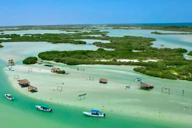 Isla Columpios and Progreso Day Trip - Who Is This Tour Best For?