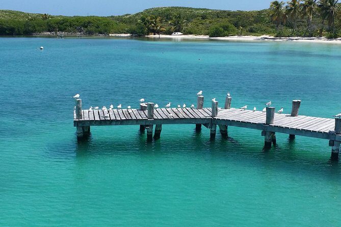Isla Contoy and Isla Mujeres Tour with Snorkeling from Cancun - Practical tips for potential travelers