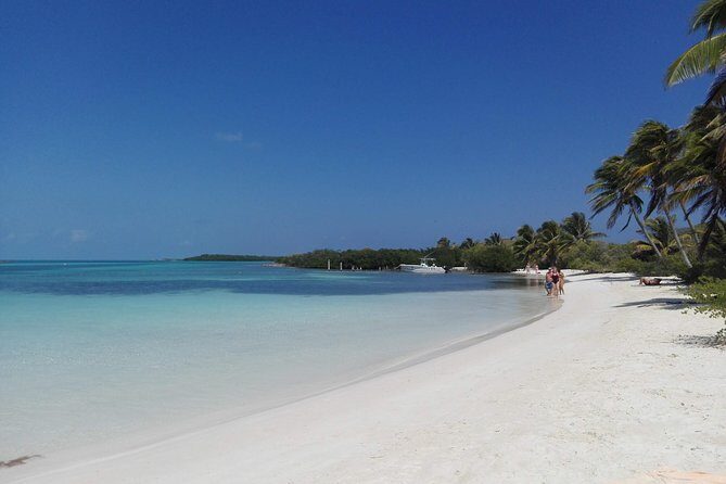 Isla Contoy & Isla Mujeres (from Playa del Carmen) - The Experience in Perspective