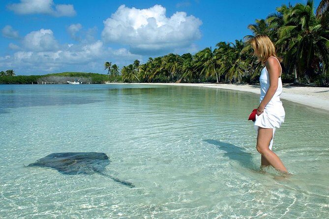 Isla Contoy & Isla Mujeres Tour from Cancun & Playa Del Carmen - Authentic Experiences and Practical Insights