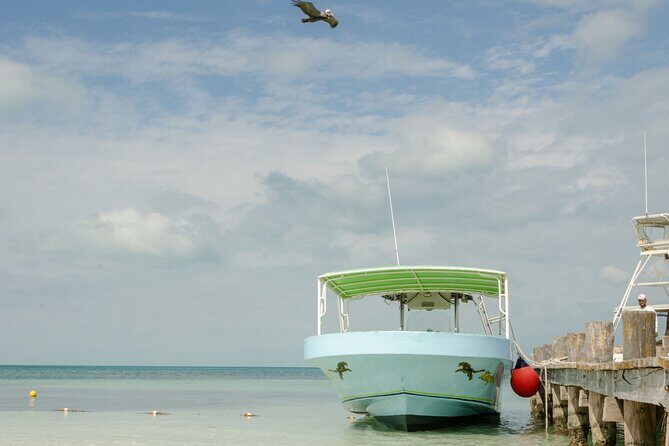 Isla Contoy Private Day Tour, from Cancun - Authentic Experiences and What Travelers Say