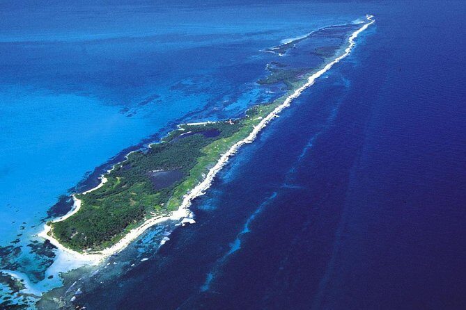 Isla Contoy & Shopping tour in Isla Mujeres from Cancun & Riviera Maya - Analyzing the Value & Practicalities