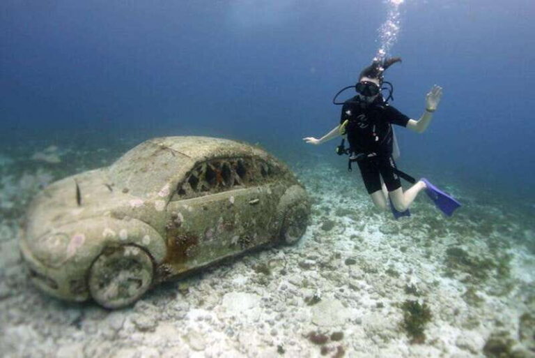 Isla Mujeres: 2-Tank Dive for Certified Divers - What to Expect from the Tour