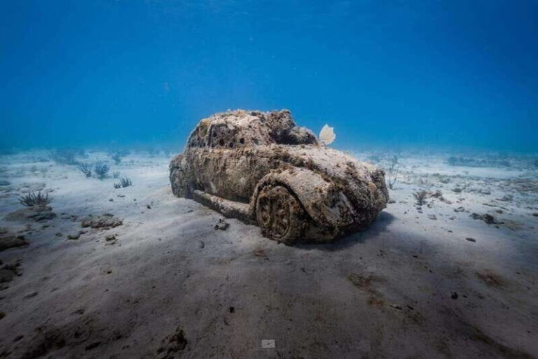 Isla Mujeres: MUSA and the Manchones Reef: 2 Tank Dive Tour - Why the Underwater Museum (MUSA) Is Special