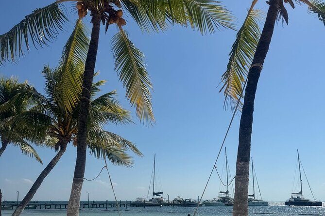 Isla Mujeres Plus Tour with Snorkeling Buffet and Open Bar - Practical Details and Considerations