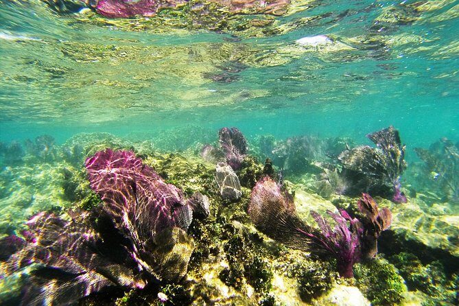 Isla Mujeres Private Dream Getaway - Frequently Asked Questions (FAQs)
