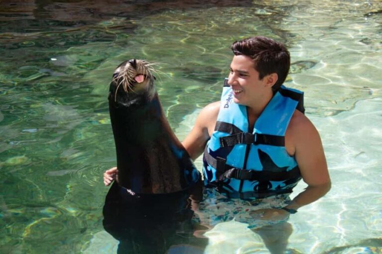 Isla Mujeres: Sea Lion & Manatee Interaction with Buffet - What Reviewers Say