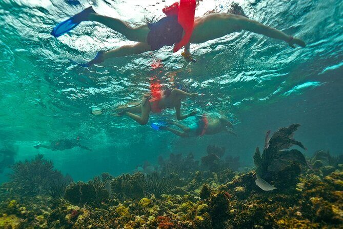 Isla Mujeres, Snorkel, Lunch & Pick Up from Cancun to P.Morelos - What to Expect: The Good and the Not-So-Good