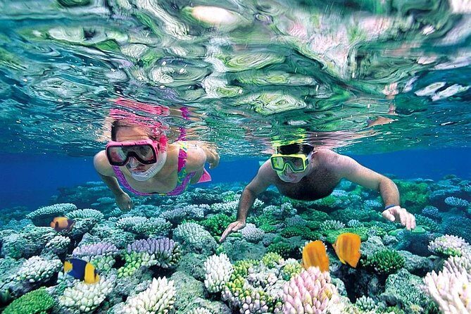 Isla Mujeres tour, Discover the amazing Caribbean Sea by Catamaran - Who Should Consider This Tour?