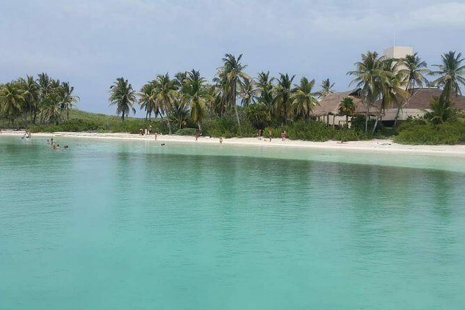 Isla Mujeres Unlimited! Fun & Party with transportation - Authentic Experiences and Critical Considerations