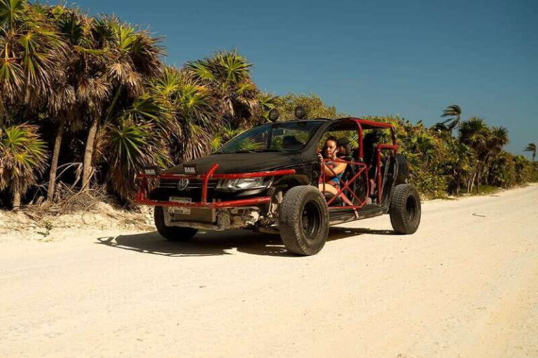Island Buggy Tour - Who Will Love This Tour?