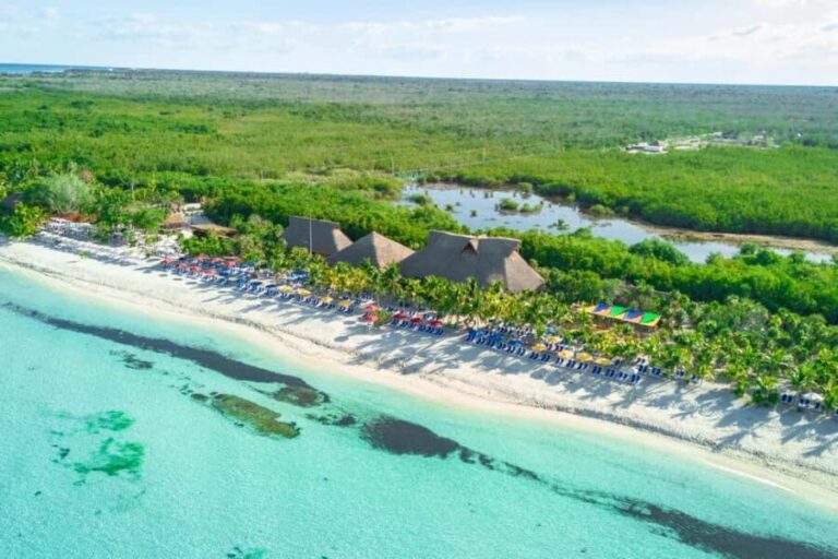 Island Rumba: Ride & Beach Party at Cozumel - Beachfront Club: Dancing and Refreshing Ocean Breezes