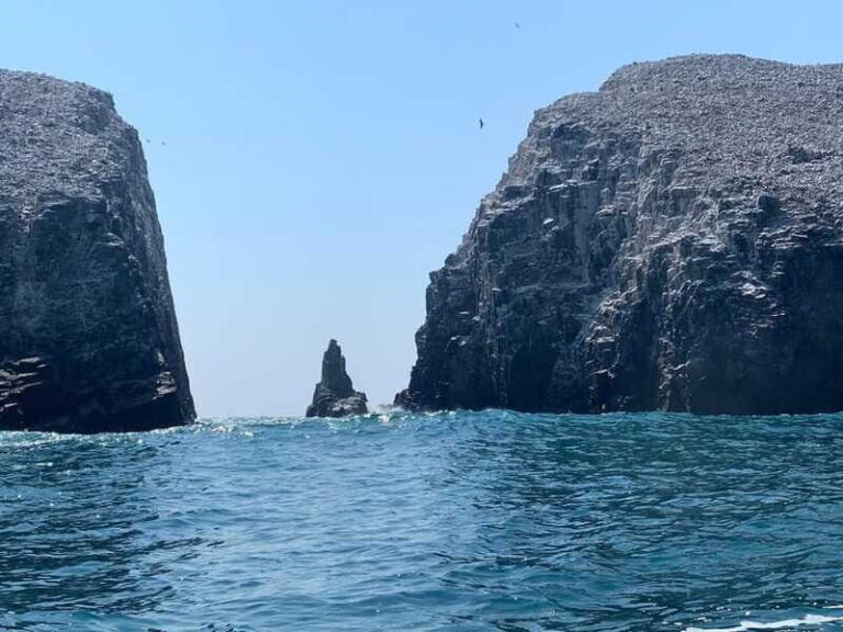 Ixtapa: 7 Islands Boat Tour - Who Is This Tour Best For?