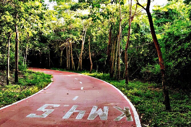 Ixtapa bike tour - Who Will Appreciate This Tour?