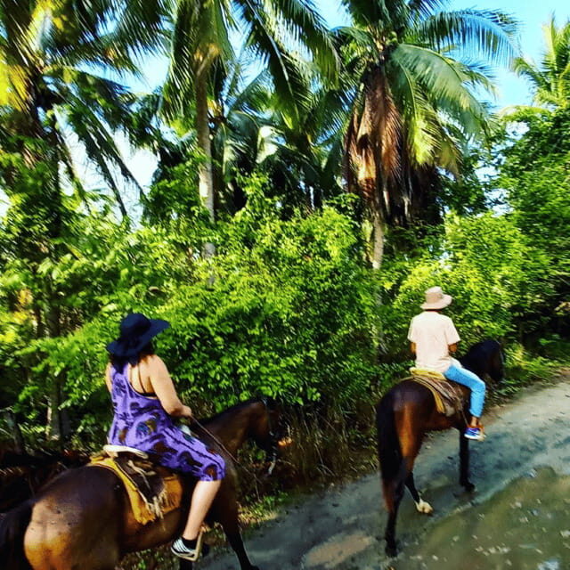 Ixtapa: Horseback Riding Tour Along Playa Larga - Why This Tour Offers Good Value