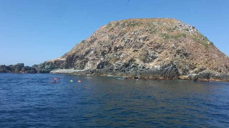 Ixtapa: Marine Life Exploration - What to Expect from the Marine Life Exploration Tour