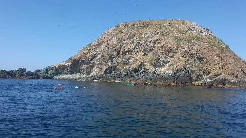 Ixtapa: Marine Life Exploration