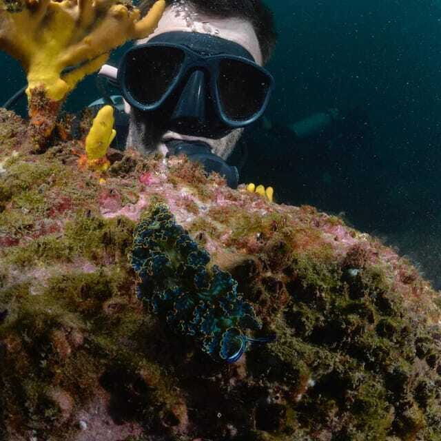 Ixtapa: Nighttime Underwater Exploration at Piedra Solitaria - Key Points