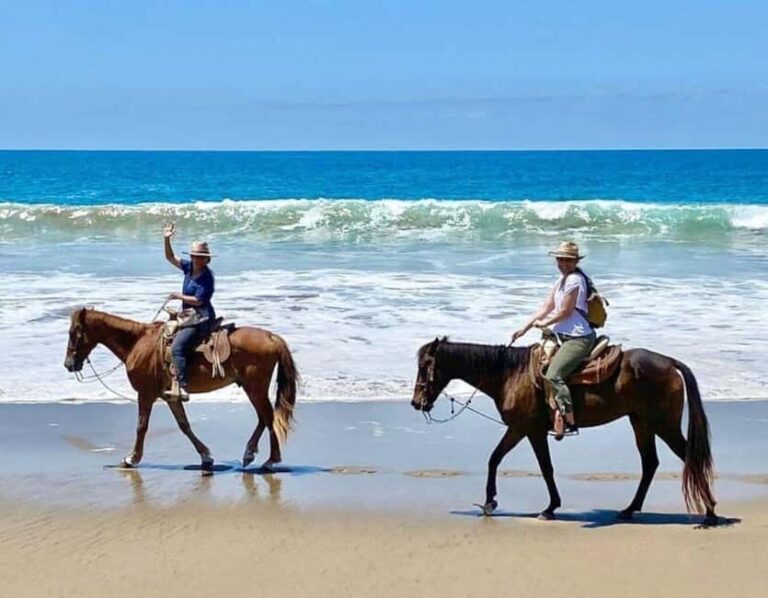 Ixtapa-Zihuatanejo: Horseback Riding Tour - Who Will Love This Tour?