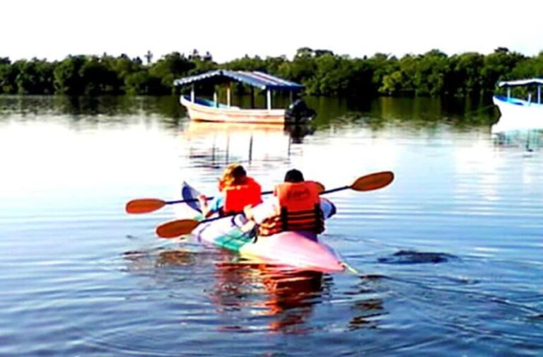 Ixtapa Zihuatanejo: Kayak Tour at Barra de Potosí - What We Think — The Value of This Experience