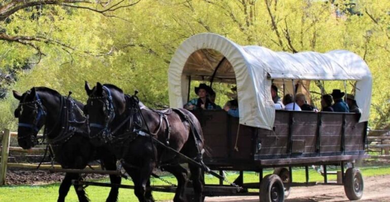 Jackson: Chuck Wagon Cookout and Live Show - The Value of This Experience