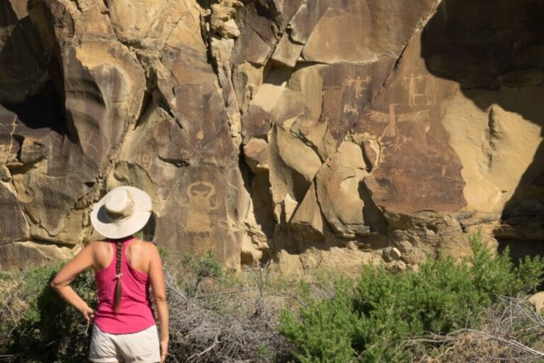 Jackson: Grand Teton, Bighorn Sheep, and Petroglyphs Tour - The Experience: What Makes It Special?