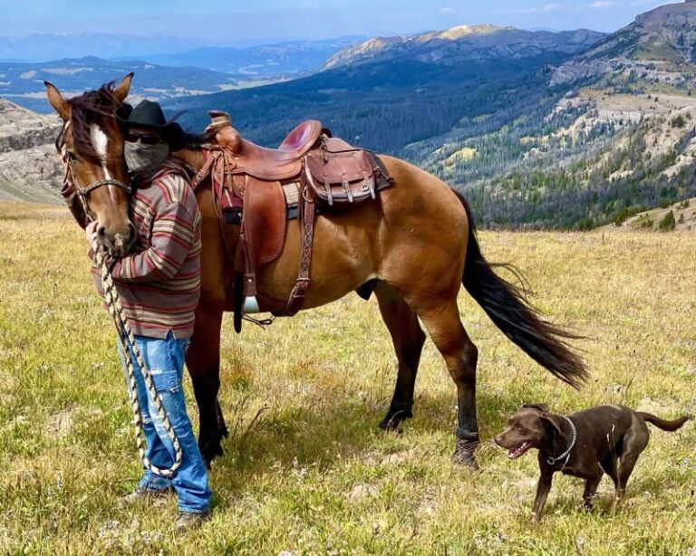 Jackson Hole: Dinner Cookout & Bridger-Teton Horseback Ride - Experience Breakdown: What You Can Expect