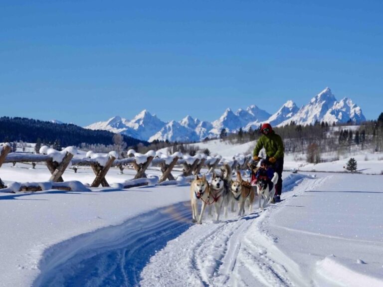 Jackson Hole: Dogsledding Tour with Hot Chocolate - The Bottom Line: Who Should Consider This Tour?