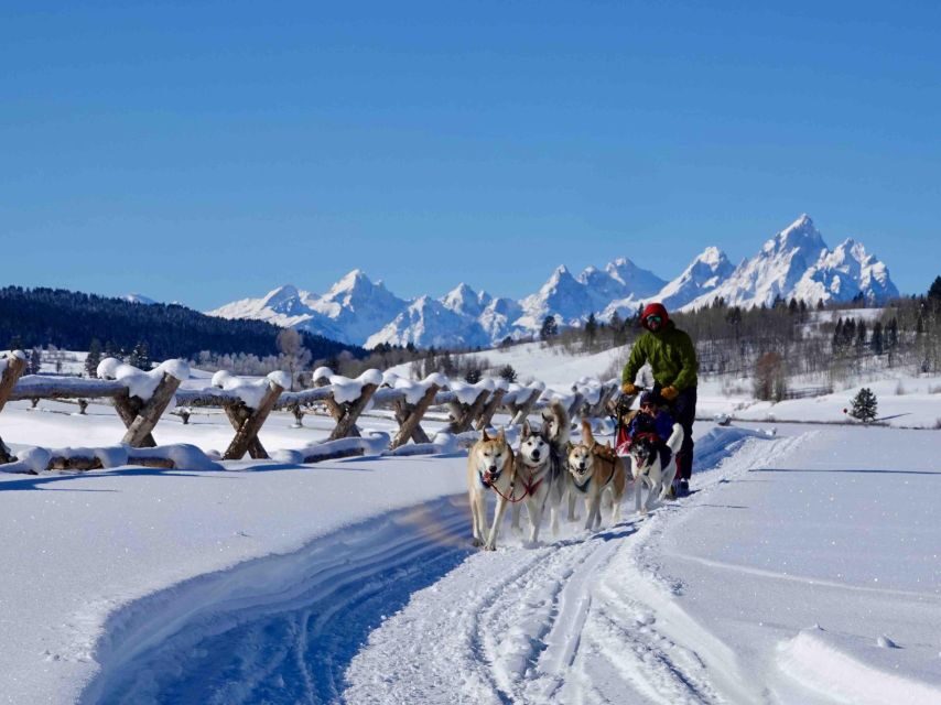 Jackson Hole: Dogsledding Tour with Hot Chocolate - The Bottom Line: Who Should Consider This Tour?