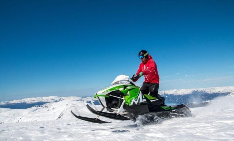 Jackson Hole: Grand Teton Full-Day Snowmobile Tour - Who Would Love This Tour?