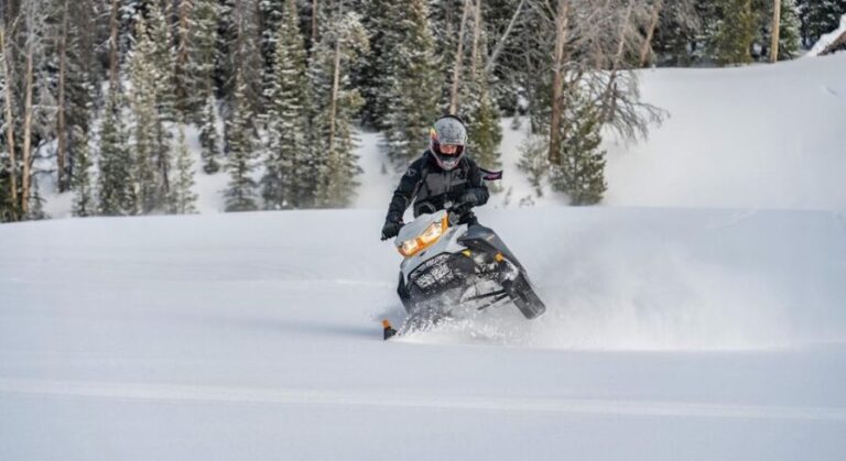Jackson Hole: Turpin Meadow Snowmobile Tour - Analyzing the Value