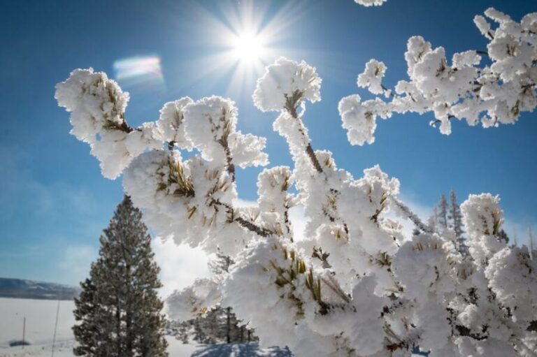 Jackson: Yellowstone Snowmobile Tour to Old Faithful - Key Points