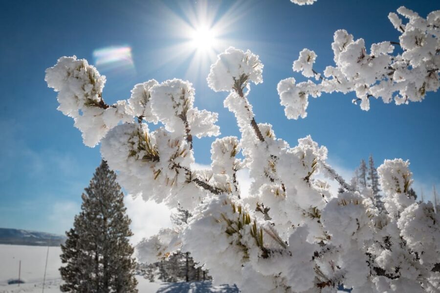 Jackson: Yellowstone Snowmobile Tour to Old Faithful - Key Points