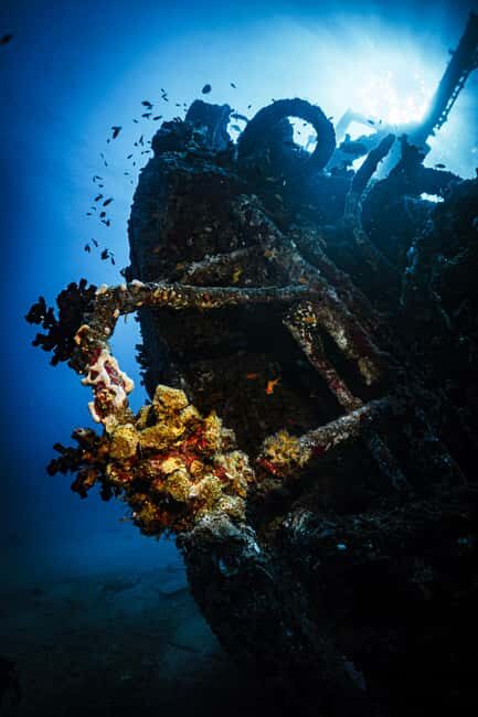 Jeddah: Guided Snorkeling Trip with Snacks and Drinks - What Makes This Tour Stand Out?