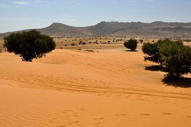 Jeep 4x4 Safari Desert Dunes & Atlantic Ocean with Berber Lunch - What You Can Expect from the Tour