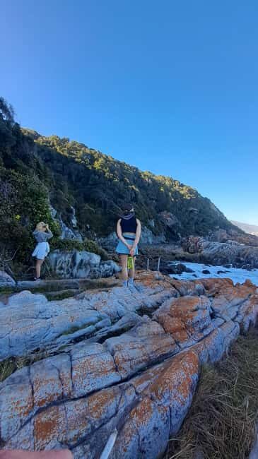 Jeffreys Bay: Storms River Nature Reserve Guided Day Trip - Who Will Love This Tour?