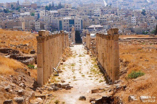 Jerash & Ajloun Private tour - Who Will Love This Tour?