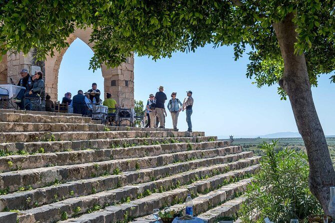 Jerash, Ajloun & Umm Qais Private tour - What to Expect When You Book