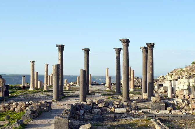 Jerash Umm Qais & Ajloun Castle Tour - The Practical Aspects: Transport, Timing, and Value