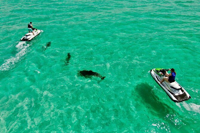 Jet Ski Dolphin Tour from Gilligans Watersports - Who Will Love This Tour?