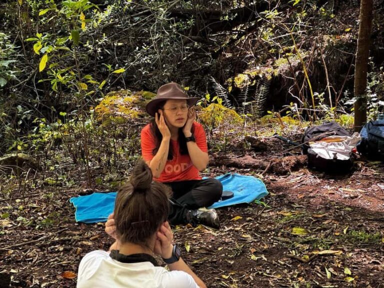 Jilotzingo: Forest Bathing and Temazcal Healing Experience - Who Will Love This Experience?