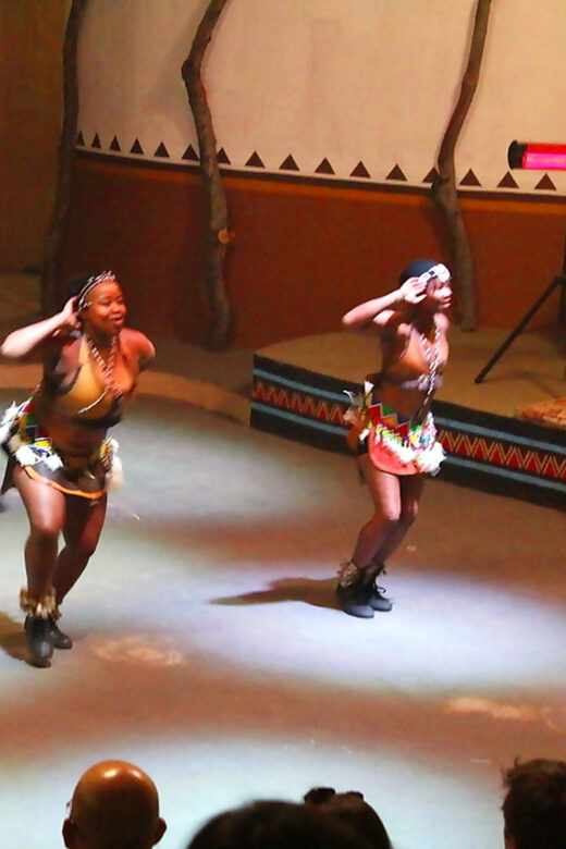 Johannesburg: Cradle of Human Kind & Lesedi Cultural Village - Practical Details and Value