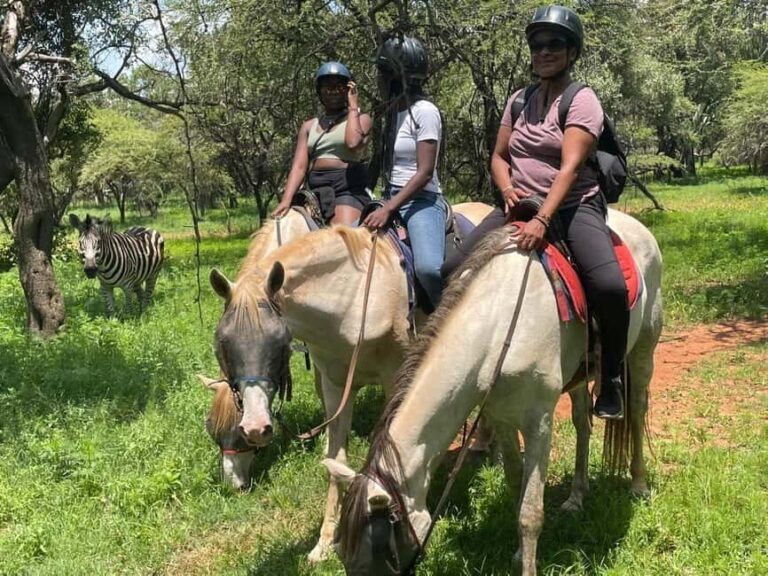 JOHANNESBURG: Horse Riding & Quad Biking Adventure - Detailed Breakdown of the Itinerary and Experience