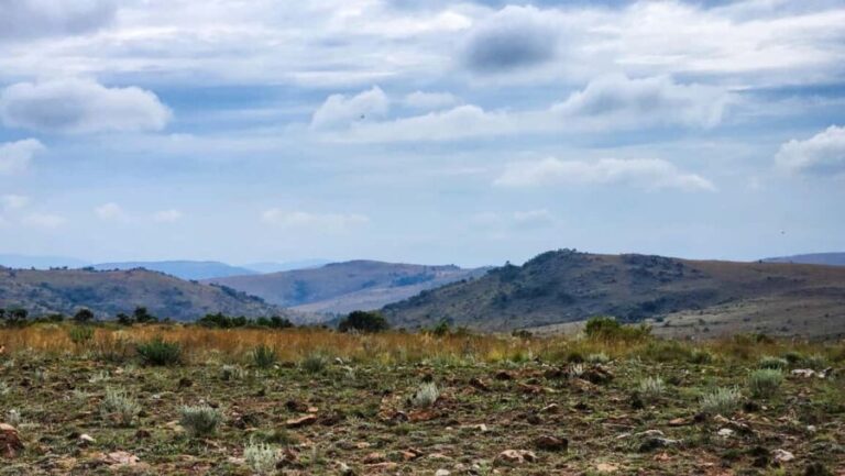 Johannesburg: Human Origins day tour and Malapa Museum - Practical Details and Value