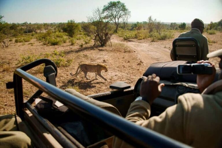Johannesburg: Soweto, Dinokeng Culture and Wildlife Day Trip - What Travelers Are Saying
