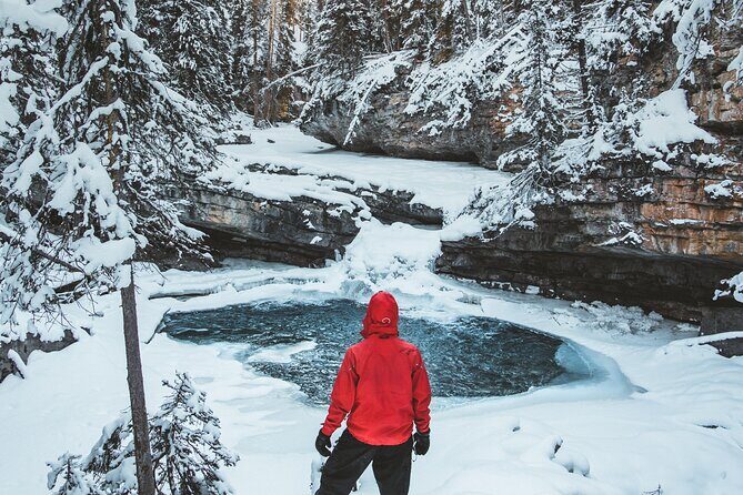 Johnston Canyon Frozen Waterfalls & Banff Backroads Wildlife Tour - The Logistics and Practicalities