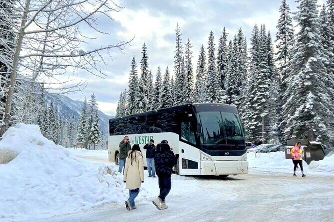 Johnston & Marble Canyon Explorer, Banff's Nature Day Tour - Authentic Experiences from Travelers