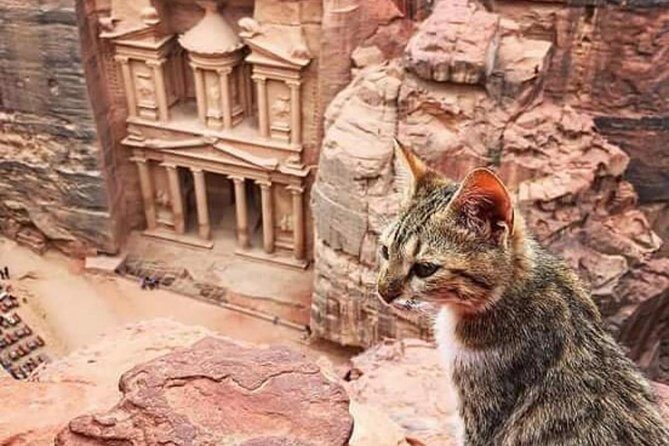 Jordan Family Holiday - What Makes This Tour a Great Choice?