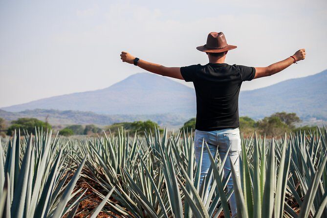 José Cuervo Tequila Day Experience from Guadalajara - What Travelers Are Saying