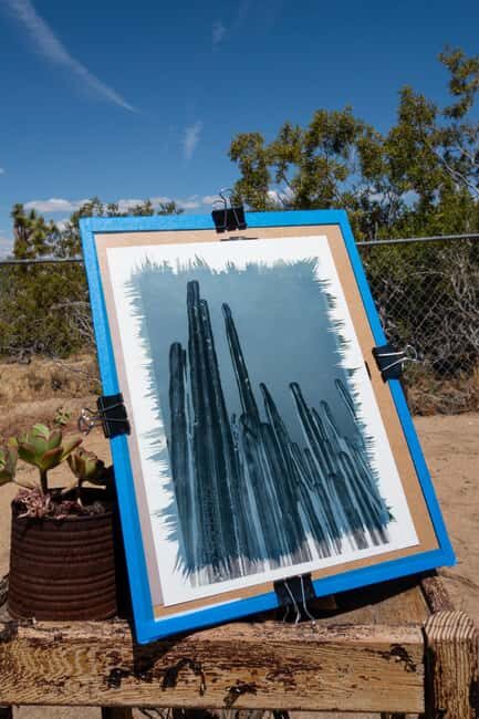 Joshua Tree: Cyanotype Sunprint Workshop - The Value of the Cyanotype Experience